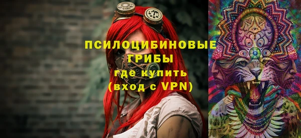 соль ск Лиски